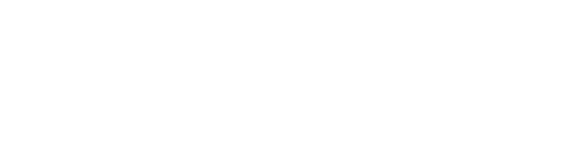 Perplexity